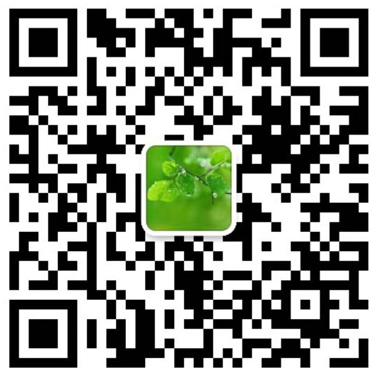 不锈钢动物模型，很多人第一步就错了